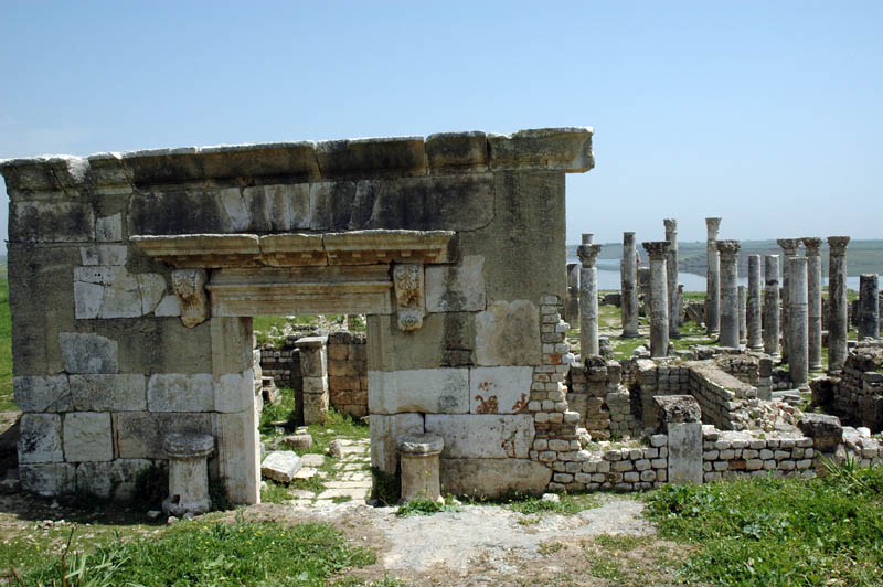 A Roman Villa near Apamea